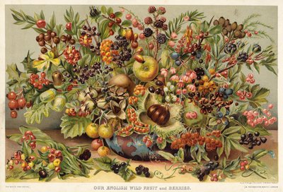 Ons Engelse wilde fruit en bessen door English School